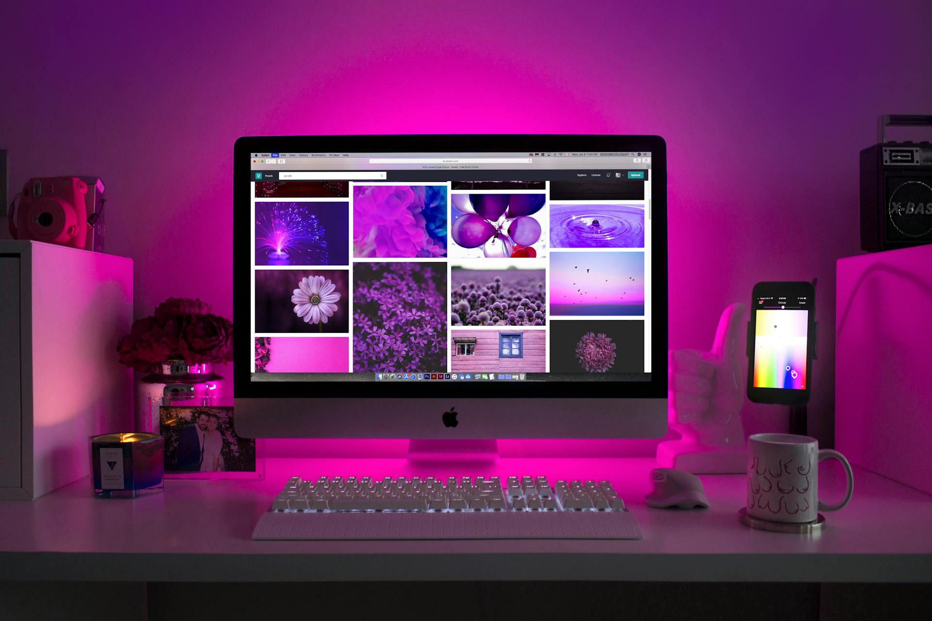 Wordpress Page Builders & CMS